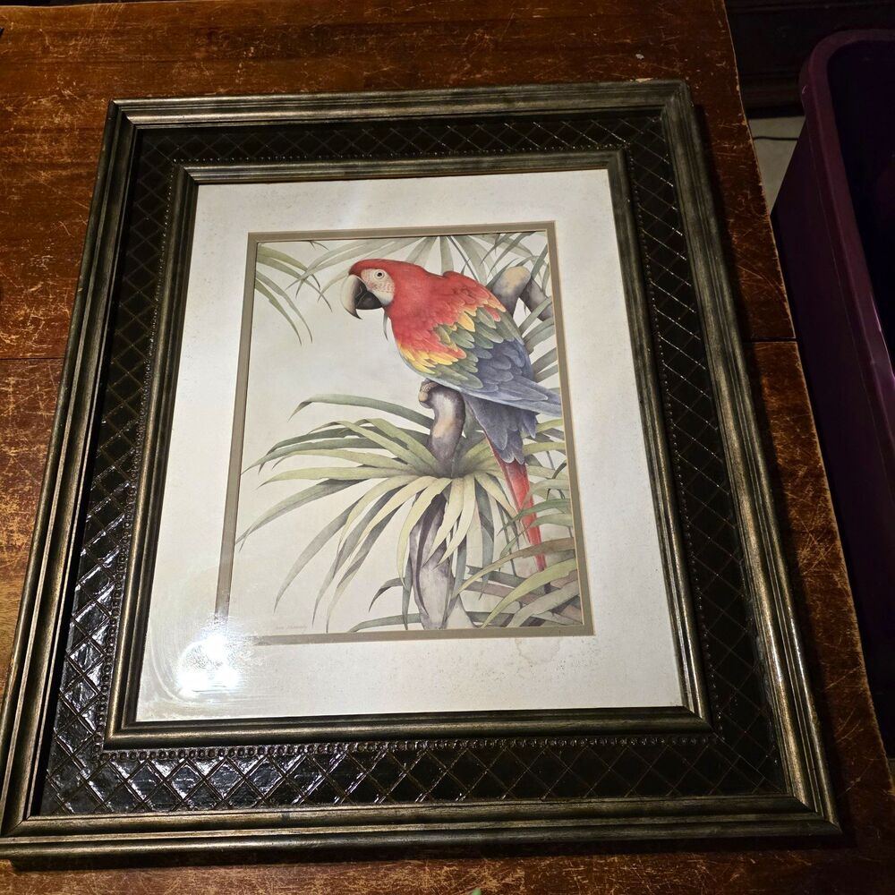 Jean Cassady Green Winged Macaw I Framed Art Print 16x20 Tropical Bird Decor
